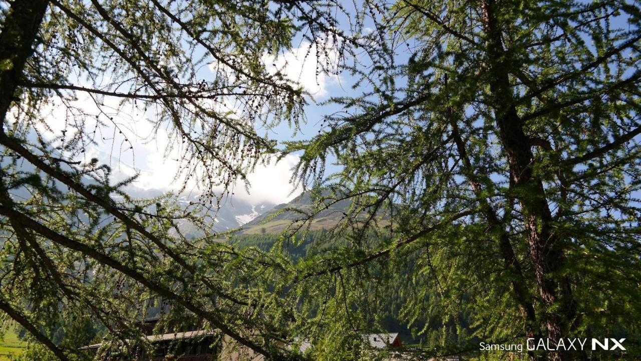 Amber Ski-In/Out Hotel & Spa 萨斯费 外观 照片