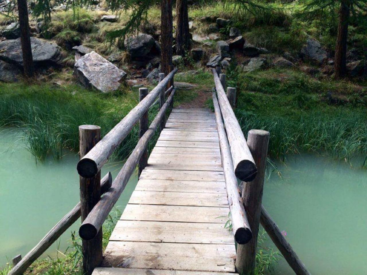 Amber Ski-In/Out Hotel & Spa 萨斯费 外观 照片