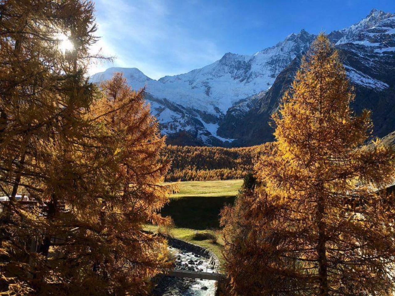 Amber Ski-In/Out Hotel & Spa 萨斯费 外观 照片